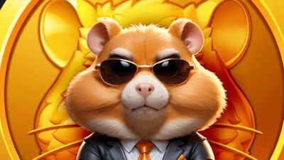 Post Hamster kombot daily combo 25 August today 2024 112748756 Hamster kombot daily combo 25 August today 2024